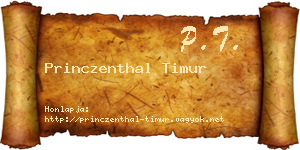 Princzenthal Timur névjegykártya